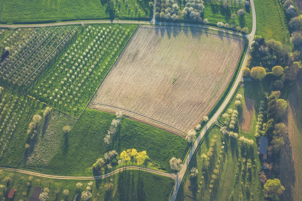 Crop Compensation Surveys